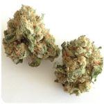 Шишки "White Widow" (Белая вдова) Гидропоника - Бошка VHQ в Кольчугино Шишки "White Widow" (Белая вдова) Гидропоника - Бошка VHQ в Кольчугино