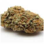 Шишки AK47  (Гидропоника, Бошка) VHQ в Кольчугино